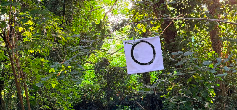 Zen circle calligraphy hanging in some trees